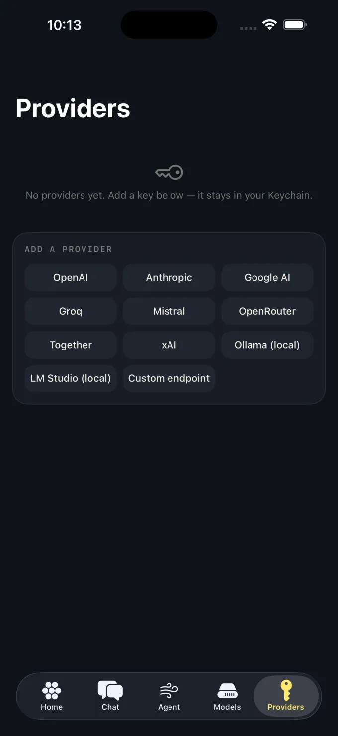Dandelion provider grid listing eleven supported AI providers including OpenAI, Anthropic, Google AI and local runtimes.